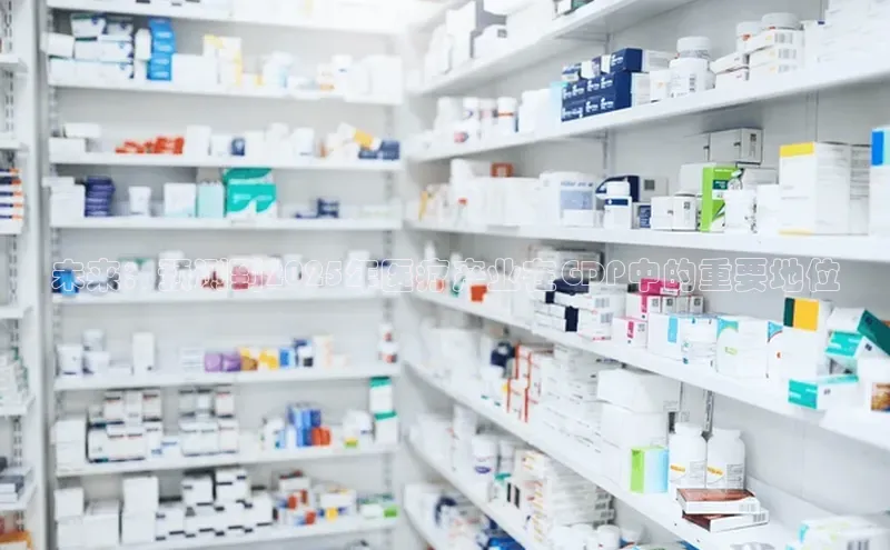 杏宇手游官网入口最新版本更新内容