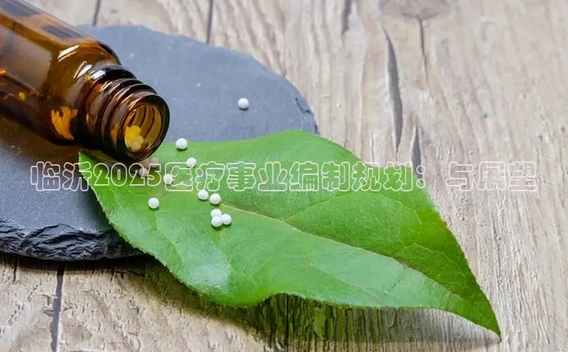 杏宇娱乐平台登录