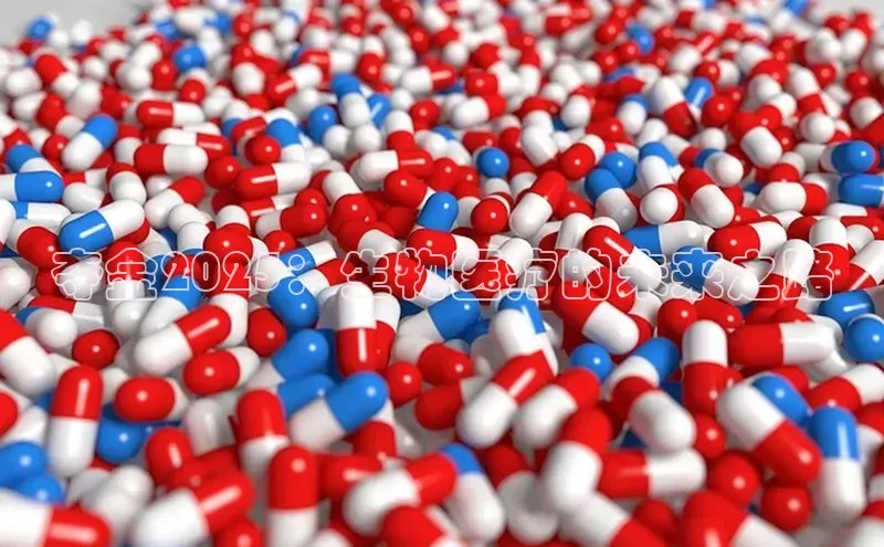 杏宇手游官网入口最新版本更新内容